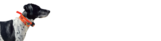sweet pearl home construction